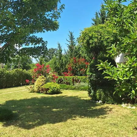 Lucia Holiday home *