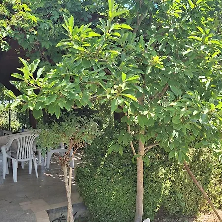 Lucia Holiday home *